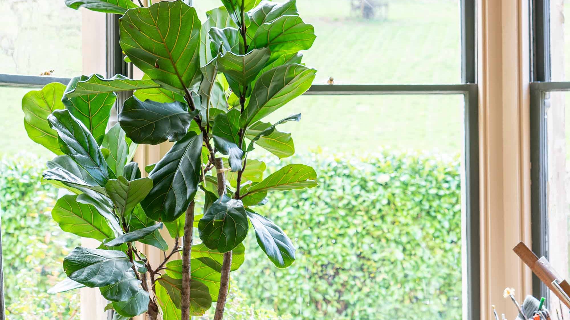 The January Blues: 5 tips for beating them