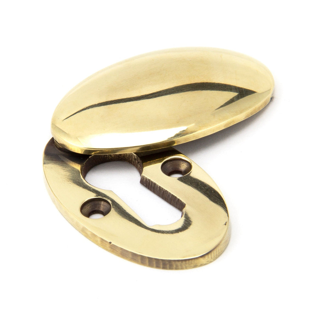 Aged Brass Oval Escutcheon & Cover | From The Anvil-Escutcheons-Yester Home