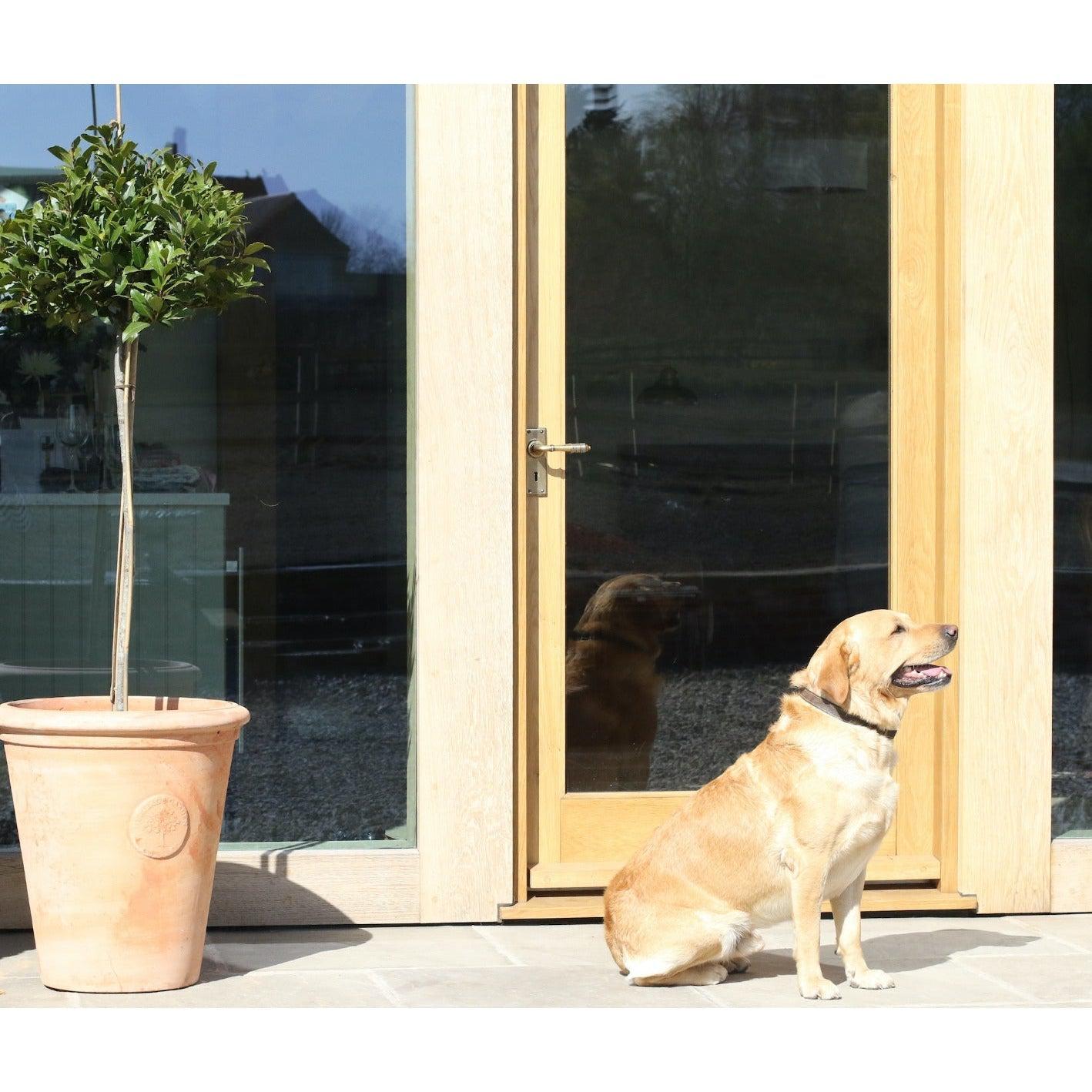 Aged Brass Reeded Lever Lock Set | From The Anvil-Lever Lock-Yester Home