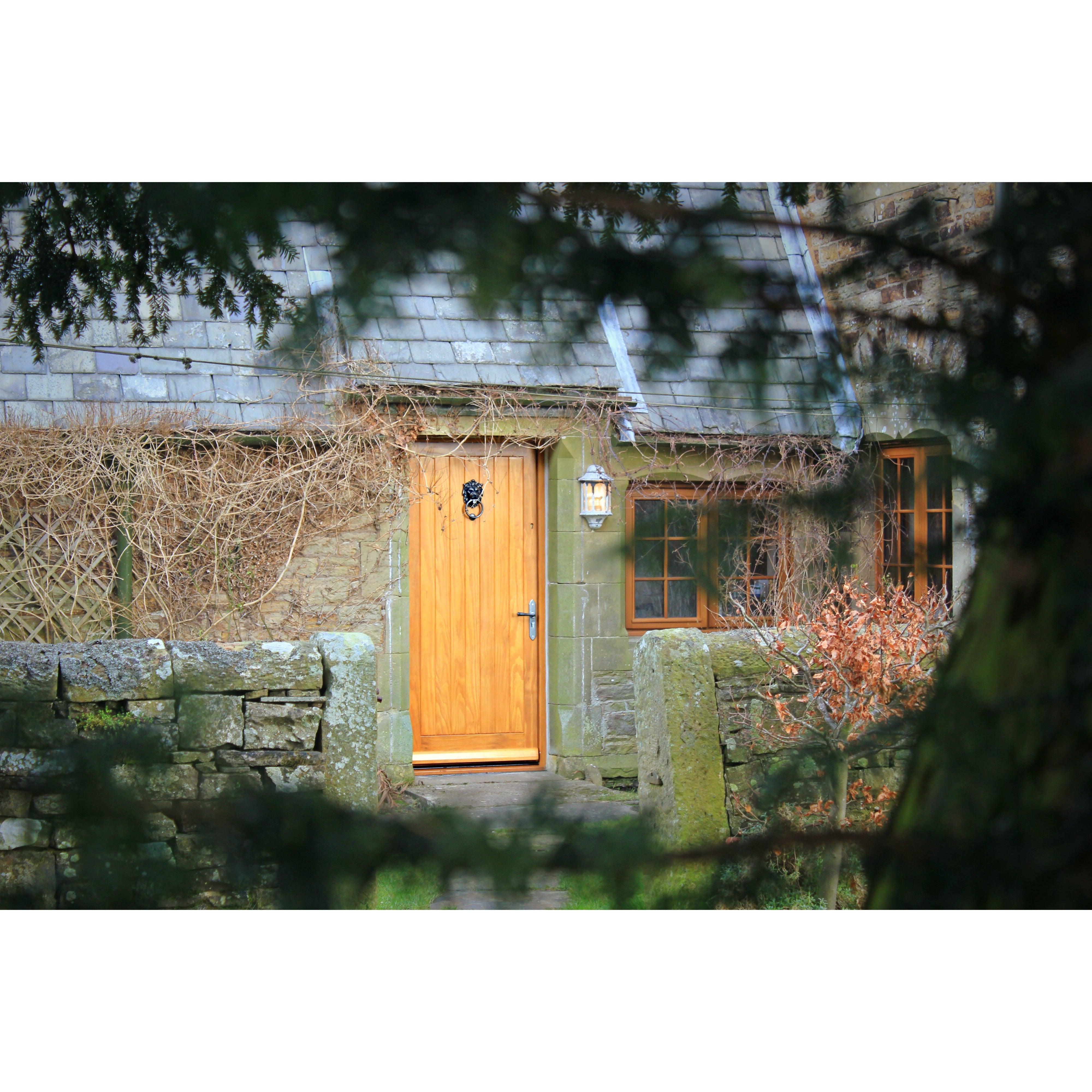 Antique Pewter Lion Head Door Knocker | From The Anvil-Bolt-Through Door Knockers-Yester Home