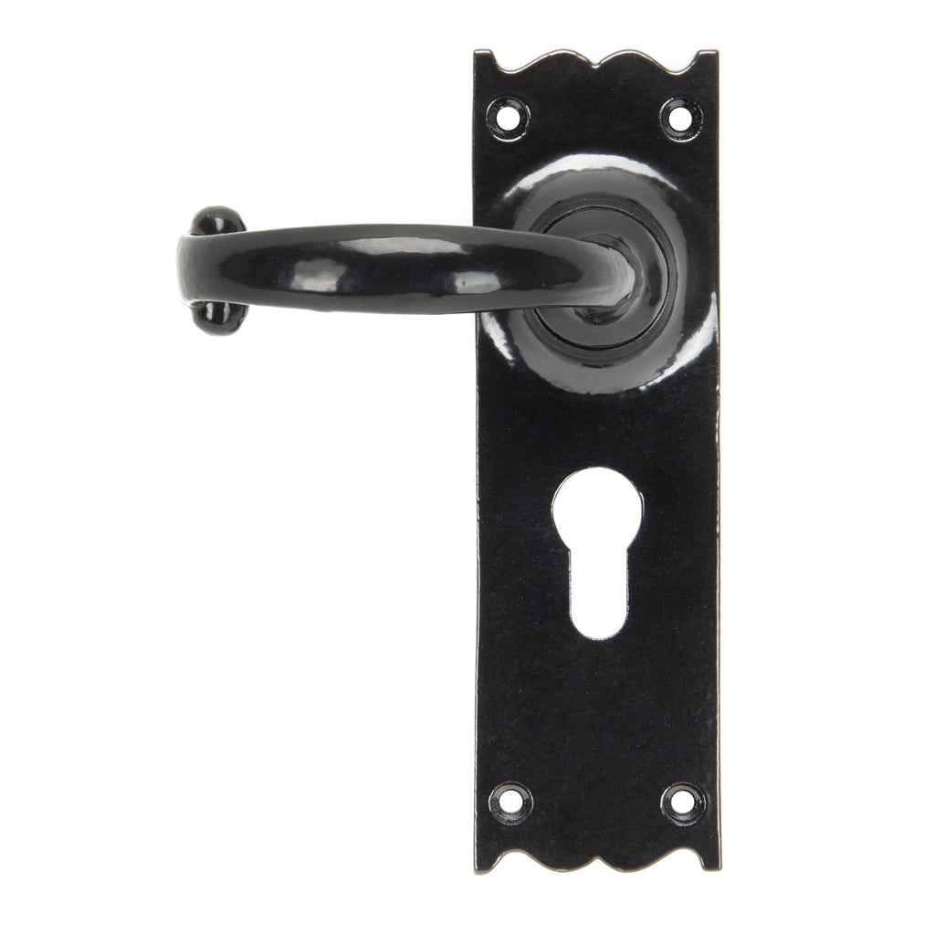 Black Cottage Lever Euro Lock Set | From The Anvil-Lever Euro-Yester Home