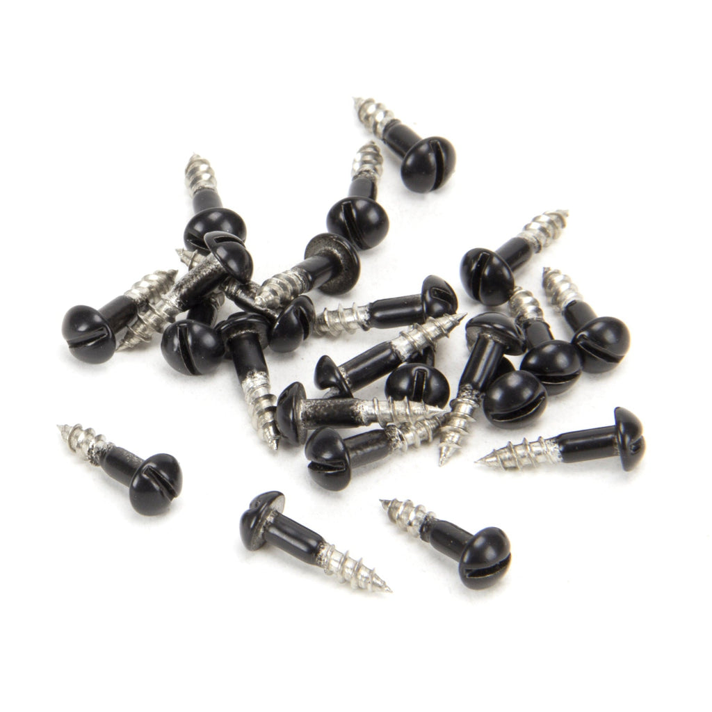 Black SS 3.0 x 12 Roundhead Screws (25) | From The Anvil-Screws & Bolts-Yester Home