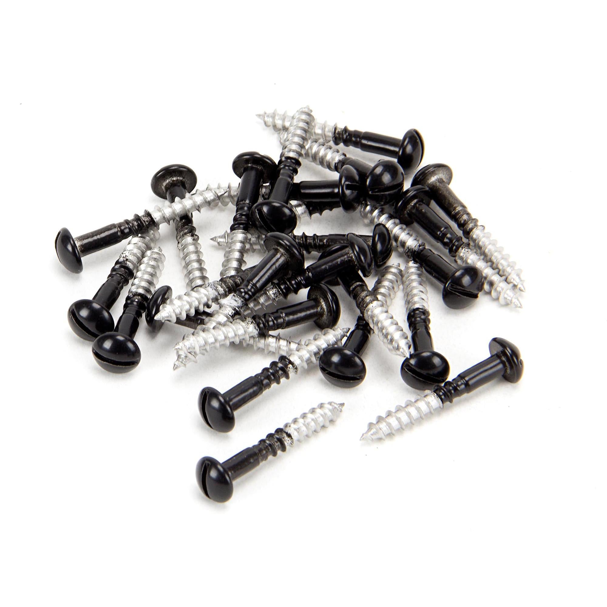 Black SS 3.5 x 25 Roundhead Screws (25) | From The Anvil - Screws & Bolts - From The Anvil - Yester Home