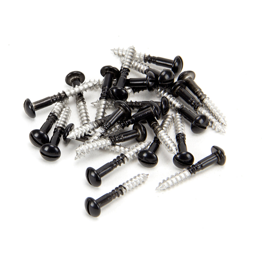 Black SS 3.5 x 25 Roundhead Screws (25) | From The Anvil-Screws & Bolts-Yester Home