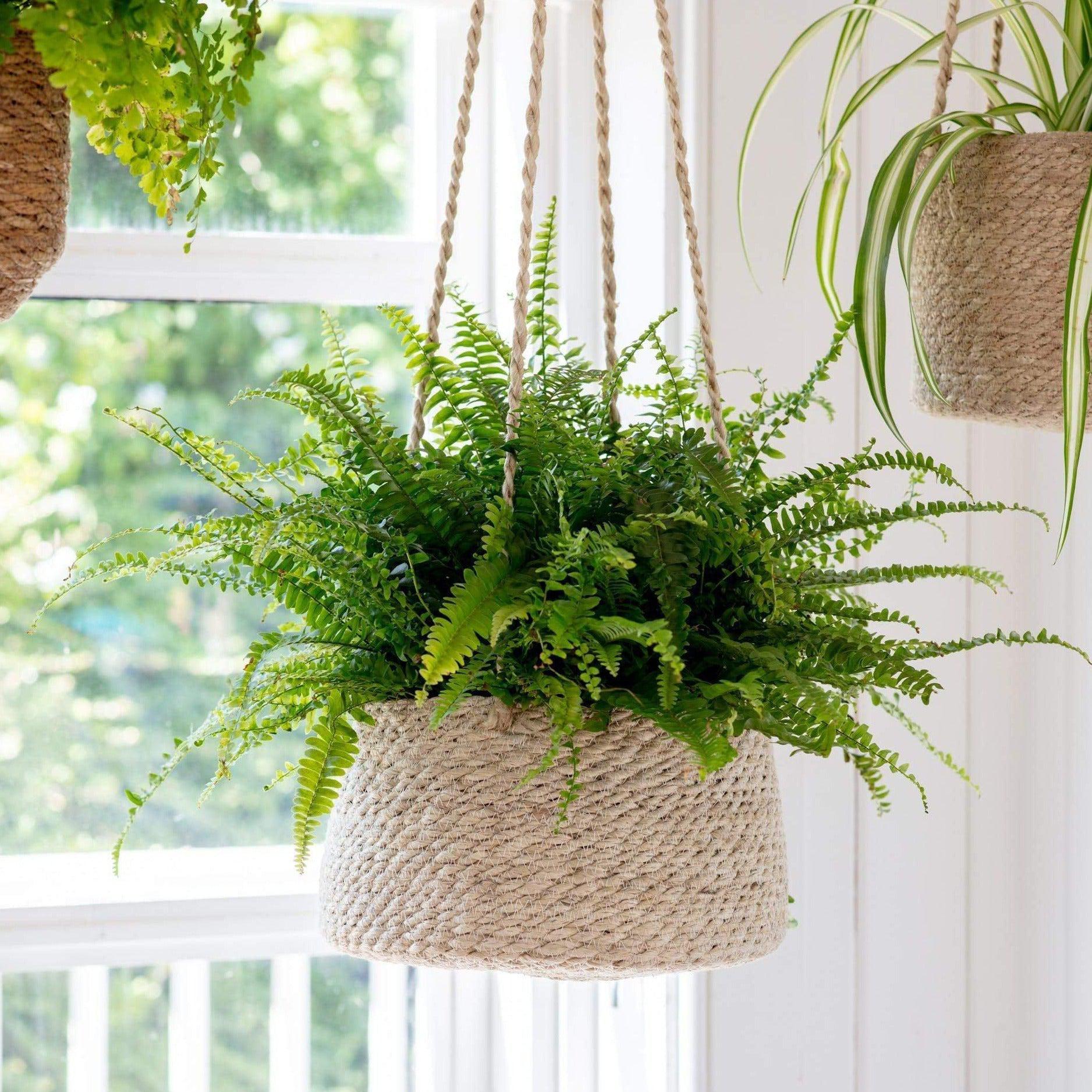 Hanging Jute Plant Pots-Plant Pots-Yester Home