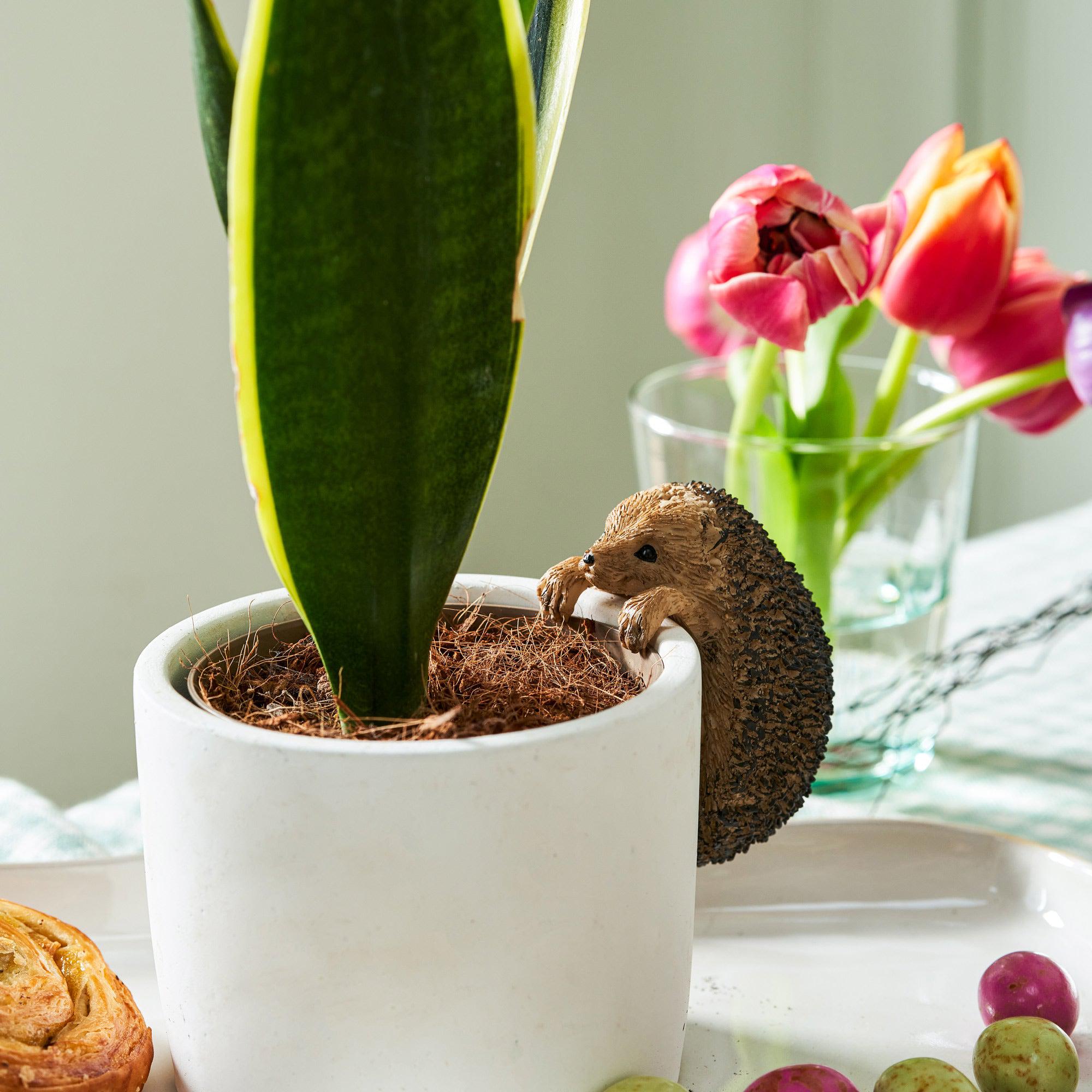 Henry Hedgehog Pot Hanger - Pot Hangers - London Ornaments - Yester Home