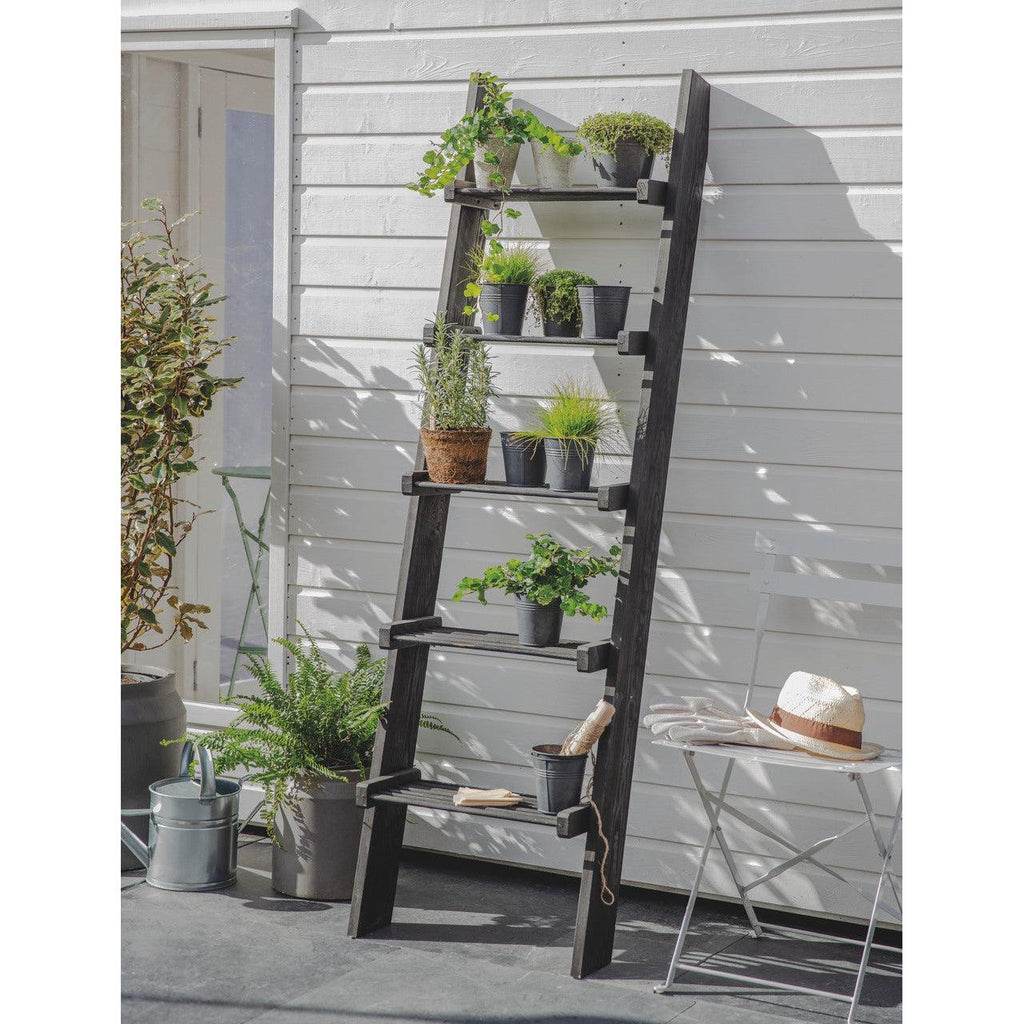 Moreton Ladder - Spruce-Outdoor Storage-Yester Home