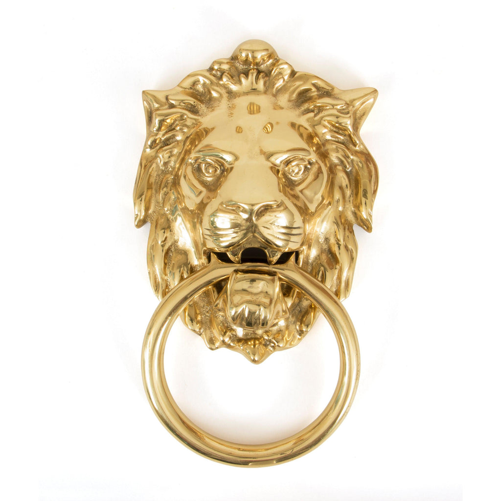 Polished Brass Lion Head Door Knocker | From The Anvil-Bolt-Through Door Knockers-Yester Home