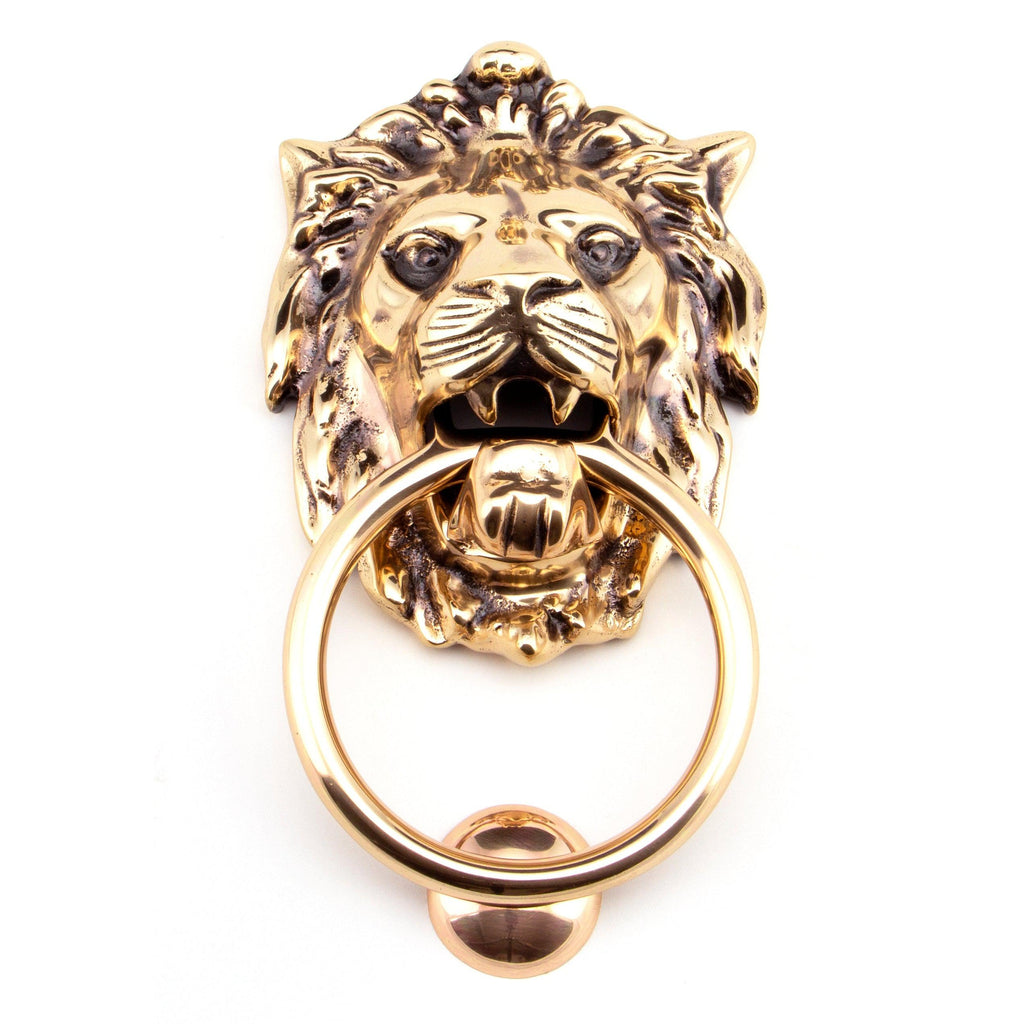 Polished Bronze Lion Head Door Knocker | From The Anvil-Bolt-Through Door Knockers-Yester Home