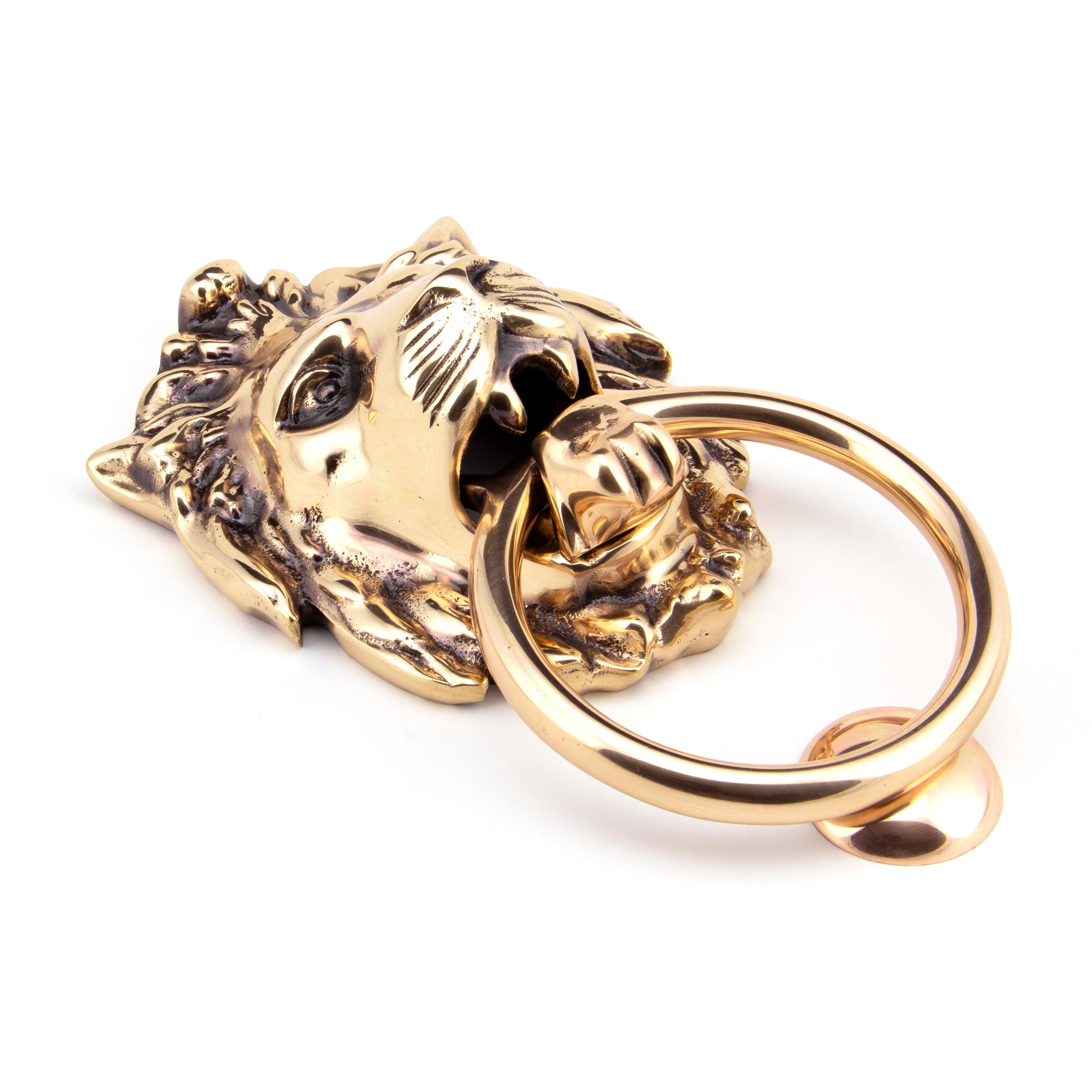 Polished Bronze Lion Head Door Knocker | From The Anvil-Bolt-Through Door Knockers-Yester Home