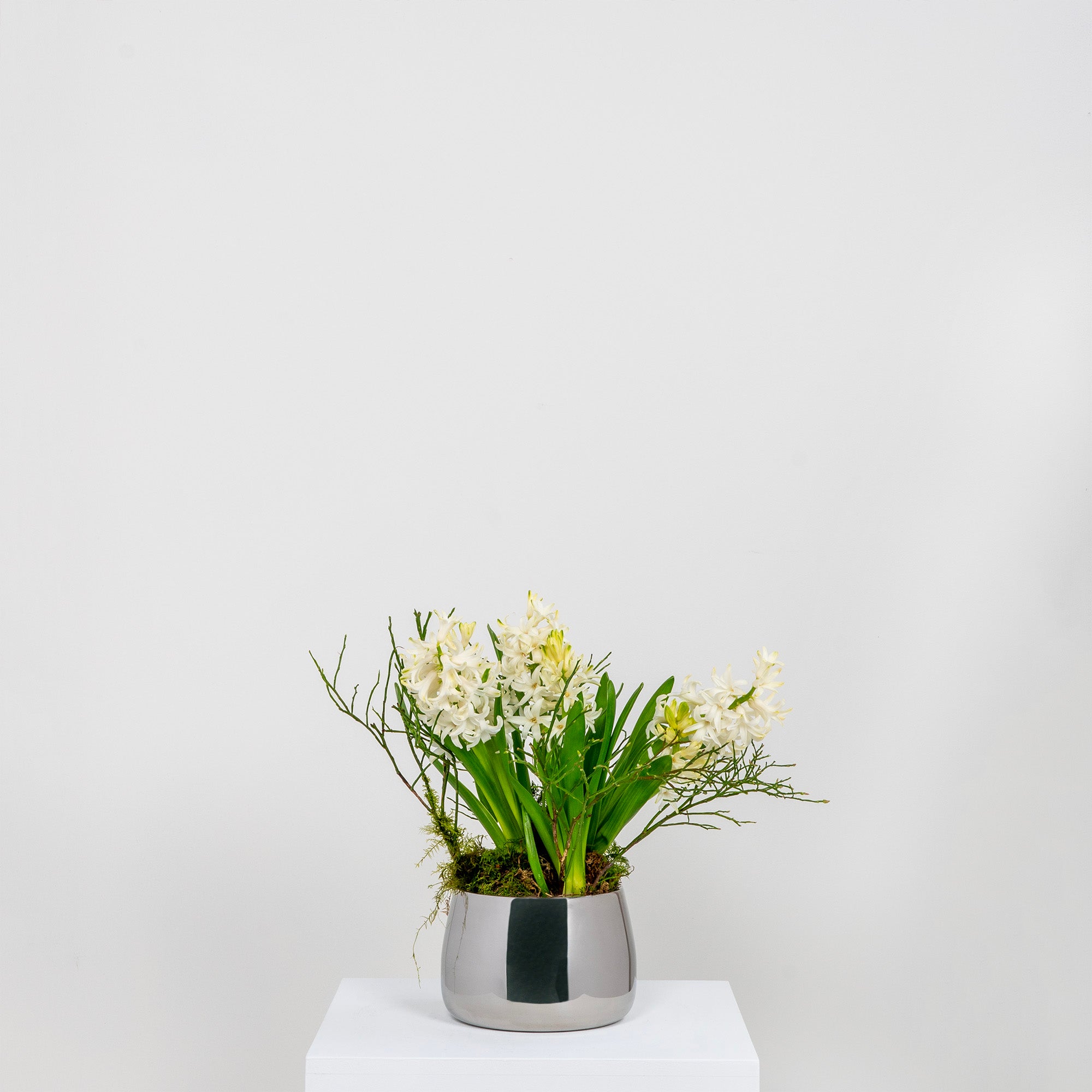 Polished Marine SS (316) 12.5cm Hepworth Pot | From The Anvil - Plant Pots - From The Anvil - Yester Home