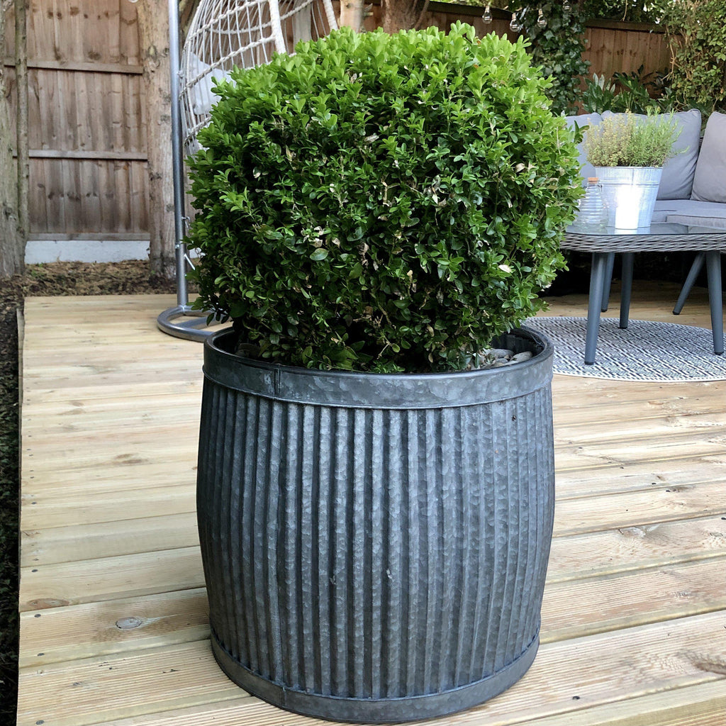 Round Metal Outdoor Dolly Tub Planters-Planters-Yester Home