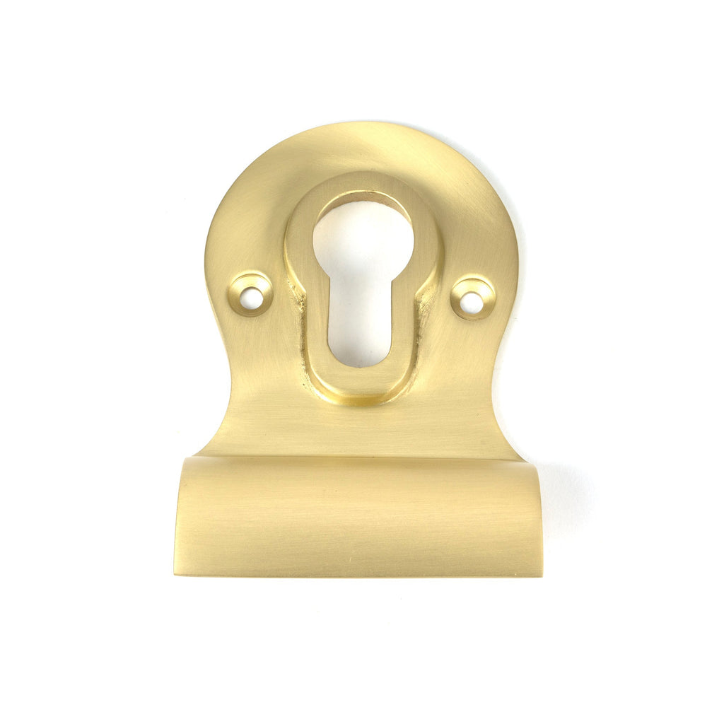 Satin Brass Euro Door Pull | From The Anvil-Euro Pulls-Yester Home