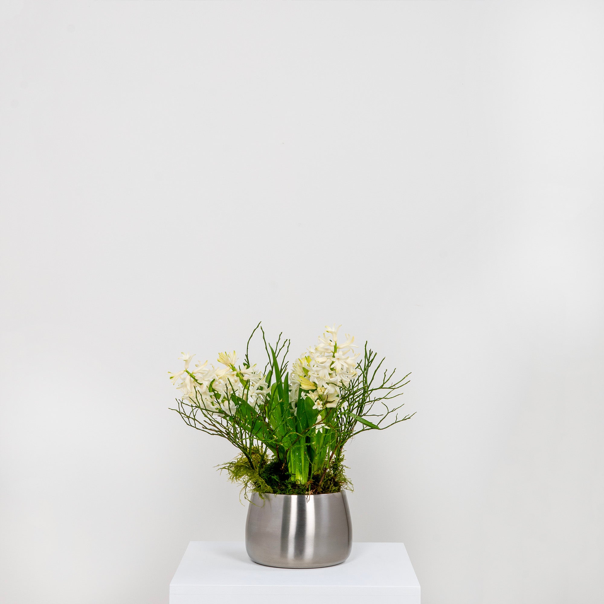 Satin Marine SS (316) 12.5cm Hepworth Pot | From The Anvil - Plant Pots - From The Anvil - Yester Home