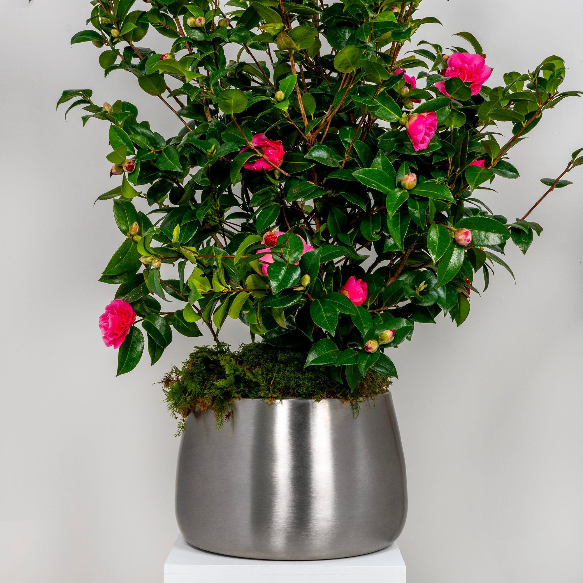 Satin Marine SS (316) 28cm Hepworth Pot | From The Anvil - Plant Pots - From The Anvil - Yester Home