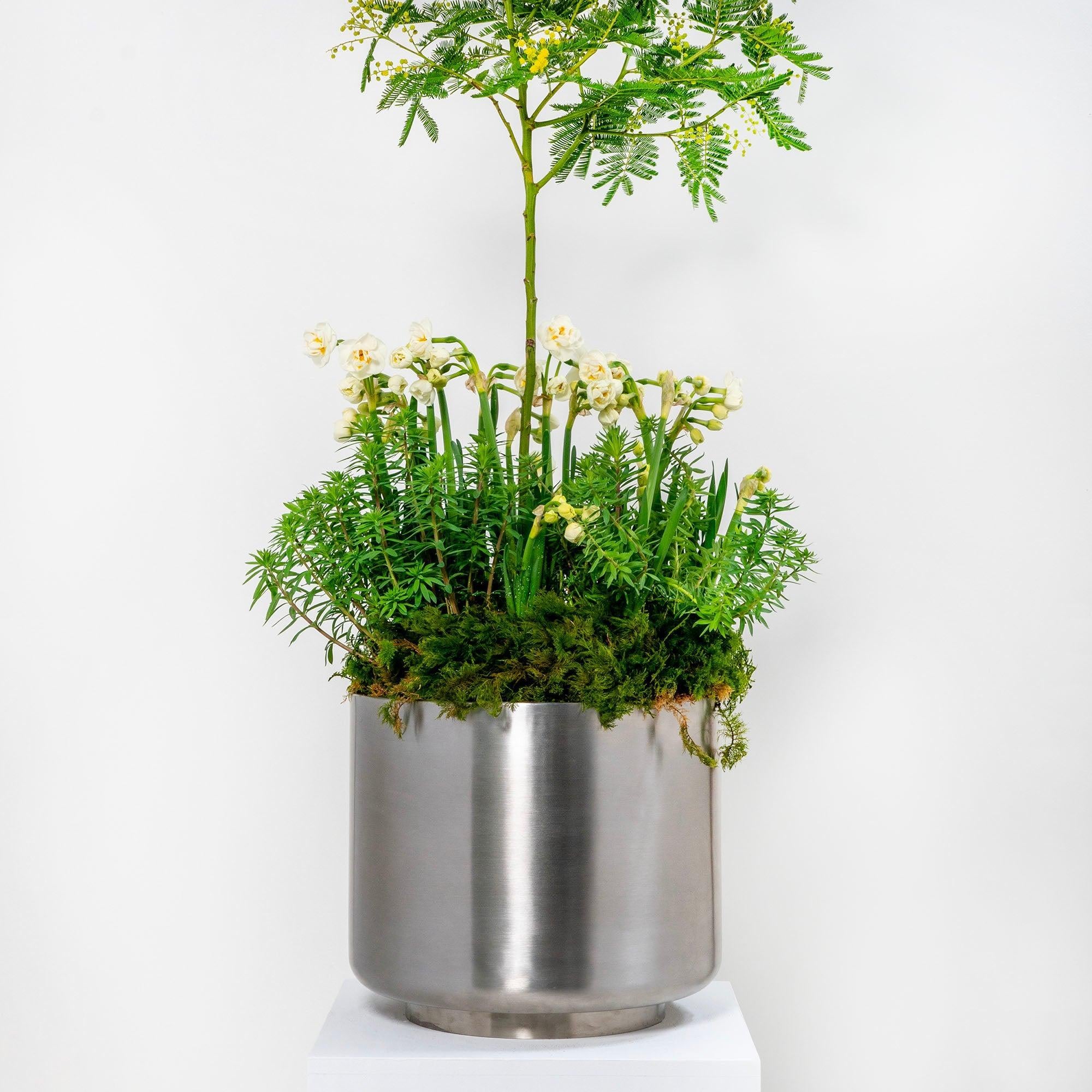 Satin Marine SS (316) 28cm Newlyn Pot | From The Anvil - Plant Pots - From The Anvil - Yester Home