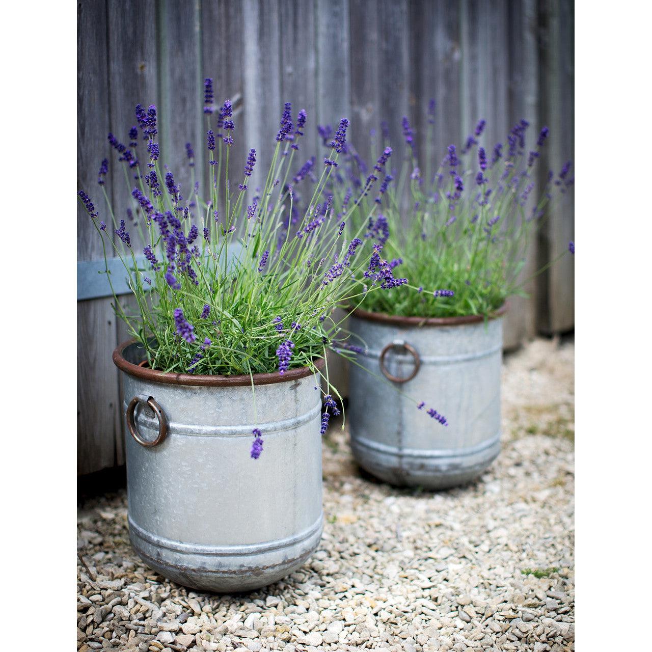 Set of 3 Malmesbury Planters - Galvanised Steel-Pots, Planters & Troughs-Yester Home