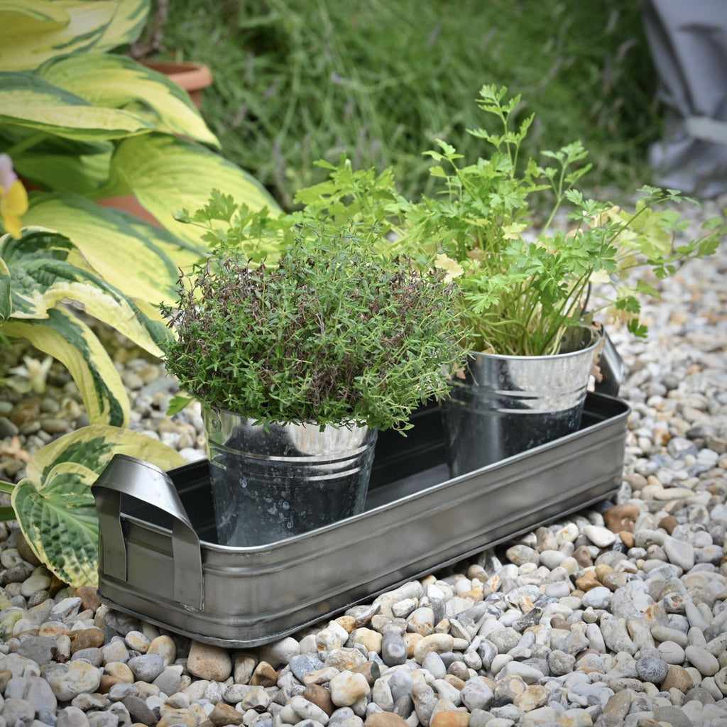 Set of 3 Oblong Metal Planters-Planters-Yester Home