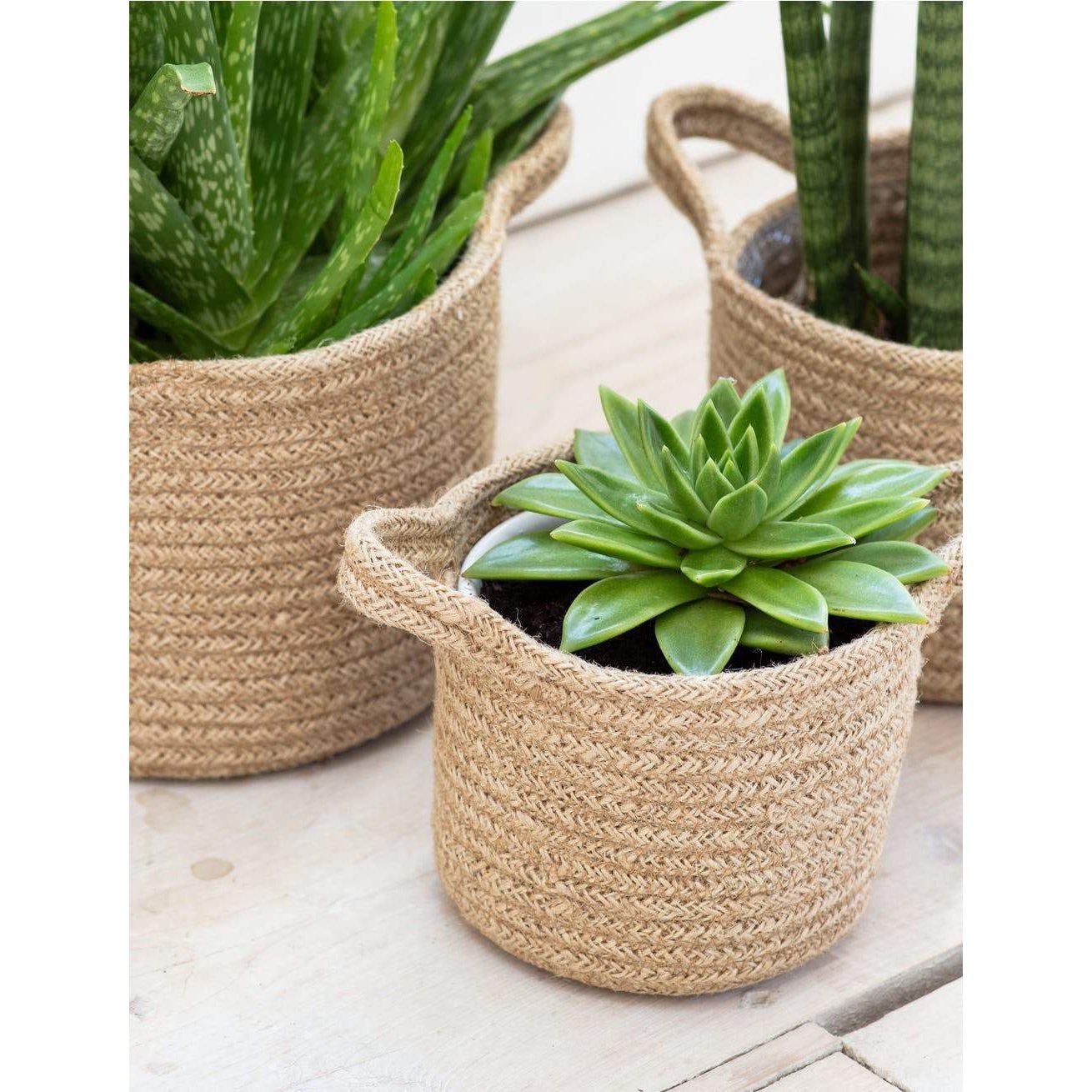 Set of 3 Woven Plant Pots-Plant Pots-Yester Home