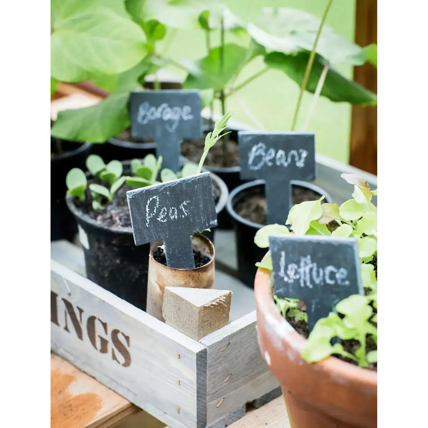 Set of 6 Greenhouse Tags with Chalk - Slate - Labels & Tags - Garden Trading - Yester Home