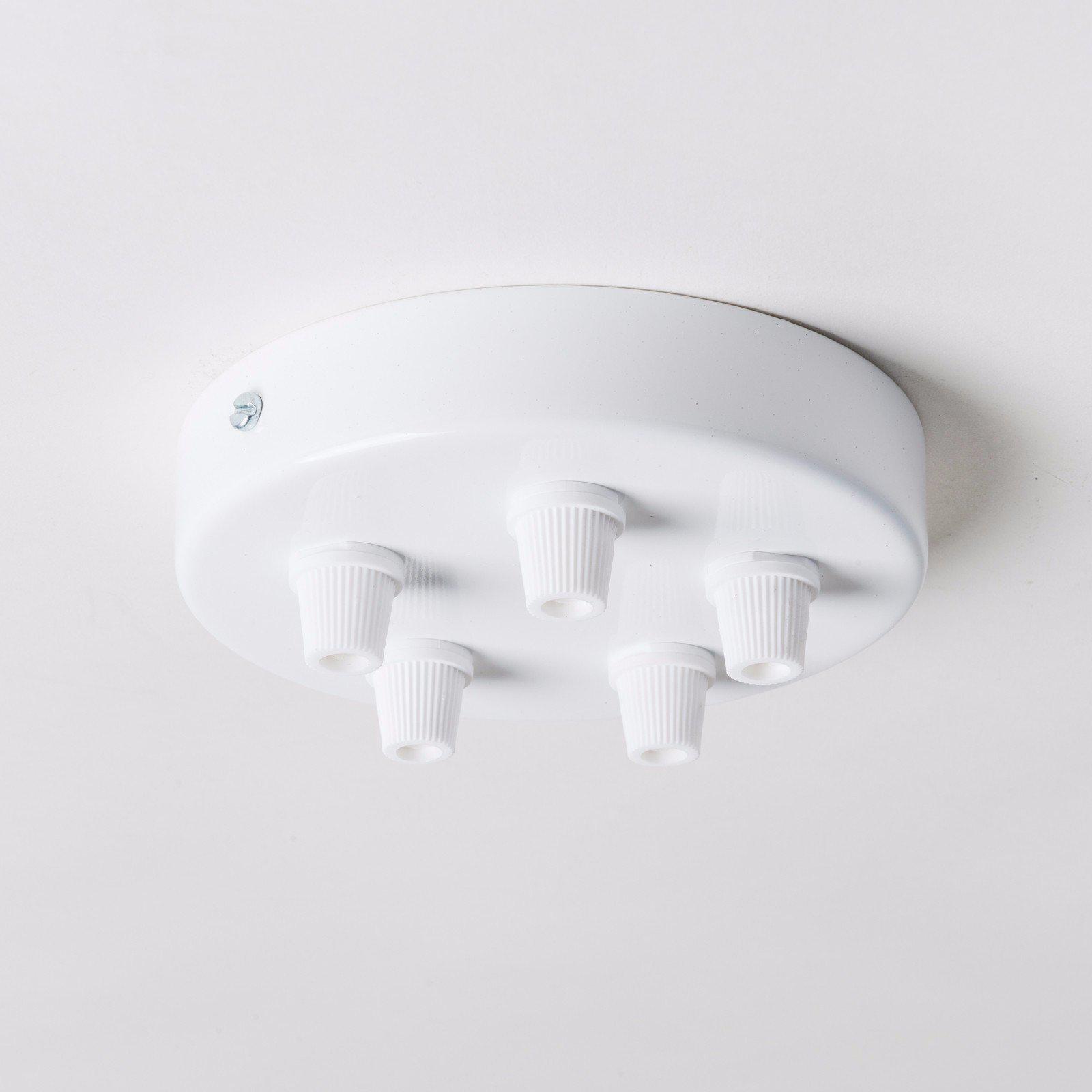 White Steel 100mm Ceiling Rose - All Outlet Options-Ceiling Rose-Yester Home