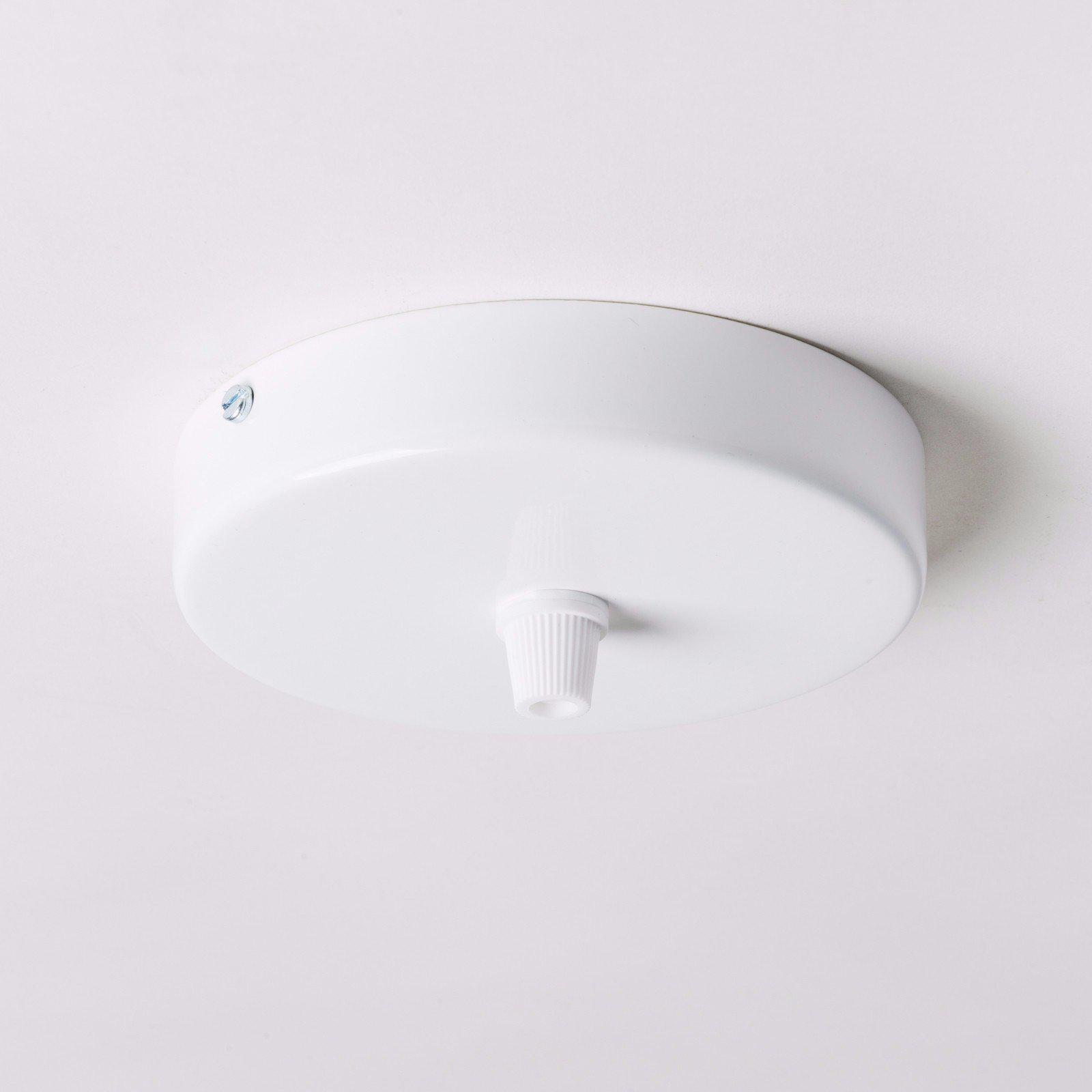 White Steel 100mm Ceiling Rose - All Outlet Options-Ceiling Rose-Yester Home