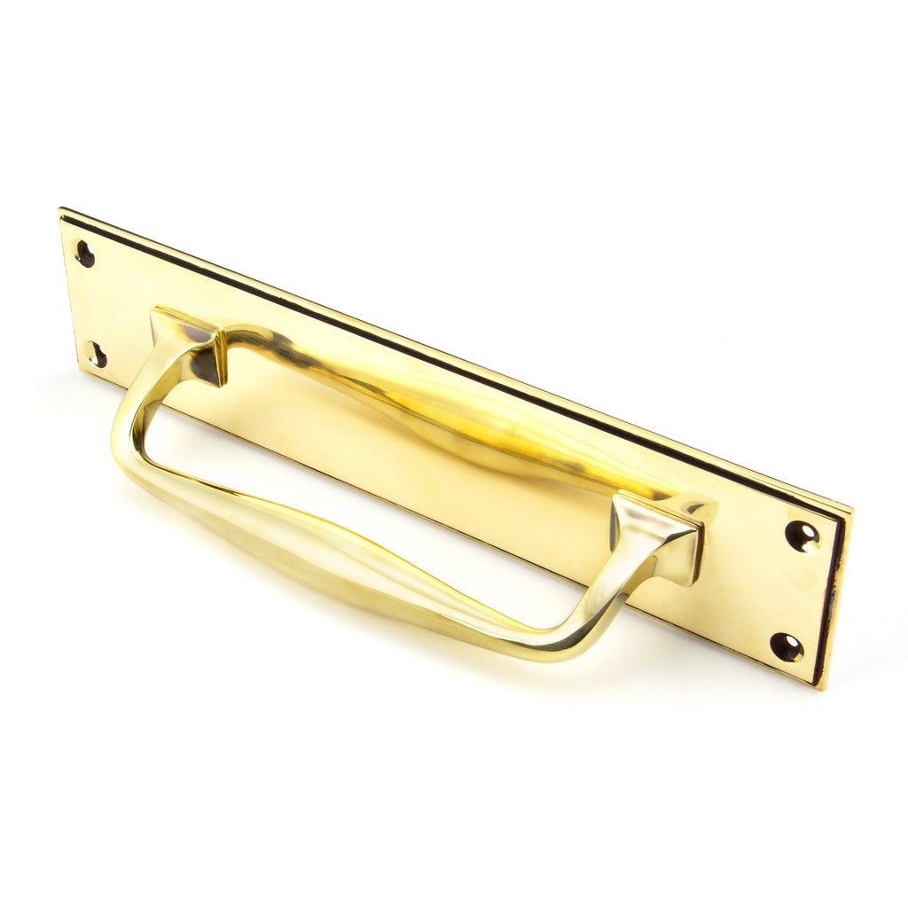 Aged Brass 300mm Art Deco Pull Handle on Backplate | From The Anvil-On Backplate-Yester Home