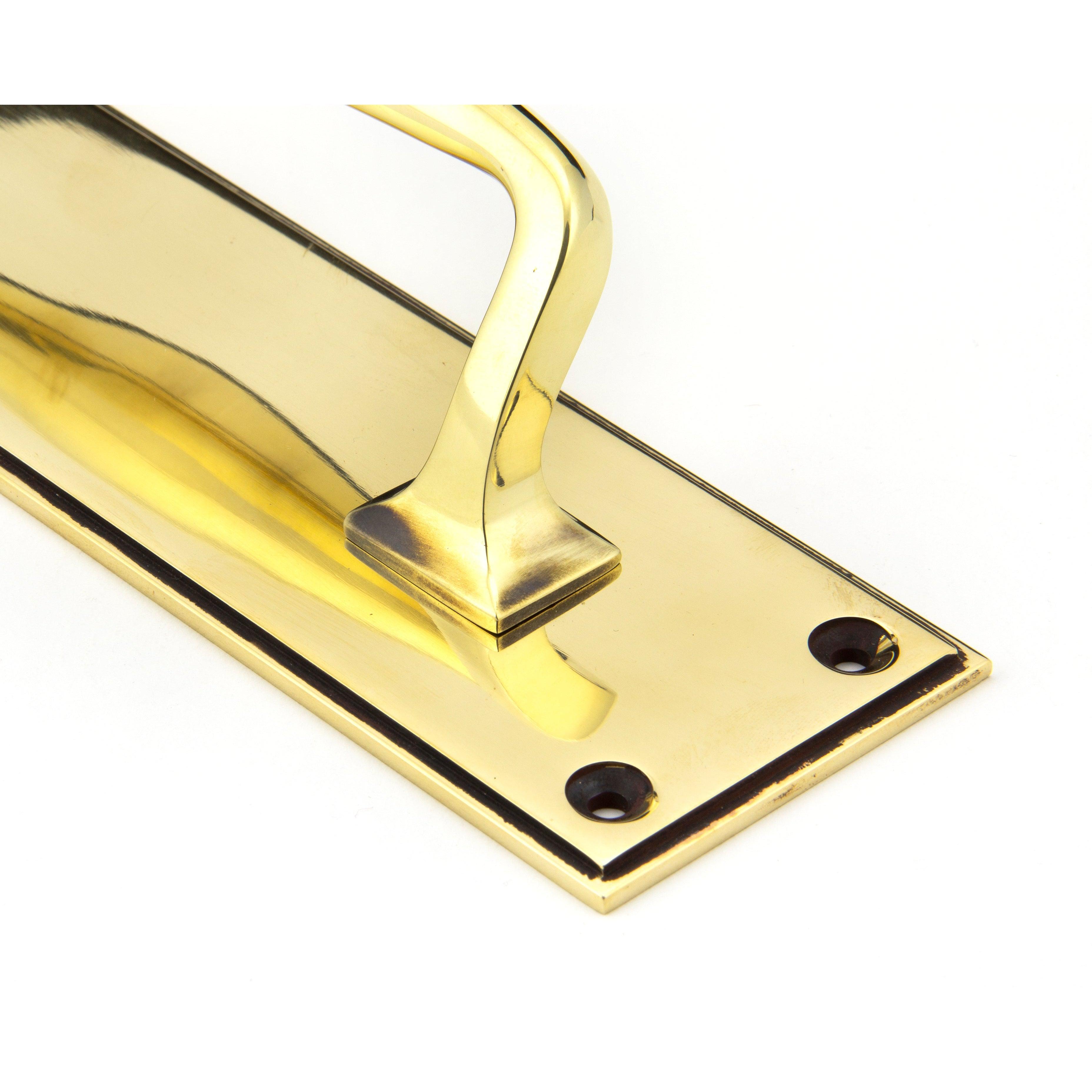 Aged Brass 300mm Art Deco Pull Handle on Backplate | From The Anvil-On Backplate-Yester Home