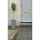 Aged Brass 50mm Euro Door Pull (Back to Back fixings) | From The Anvil-Euro Pulls-Yester Home