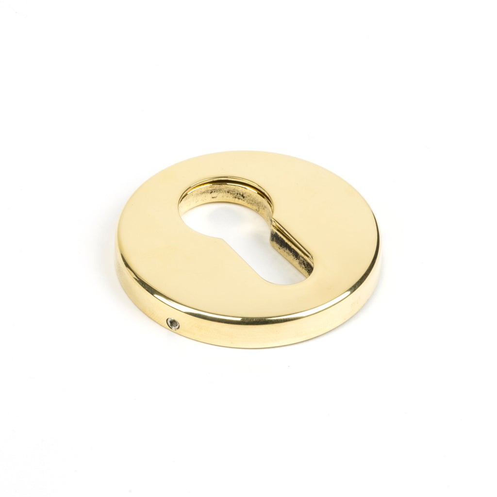 Aged Brass 52mm Regency Concealed Escutcheon | From The Anvil-Euro Escutcheons-Yester Home
