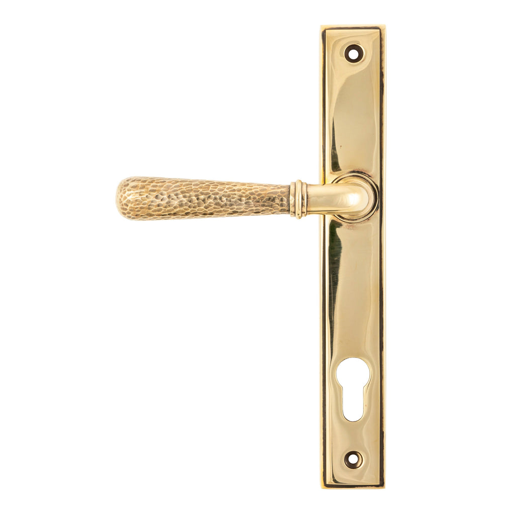 Aged Brass Hammered Newbury Slimline Espag. Lock Set | From The Anvil-Espagnolette-Yester Home