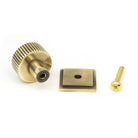 Aged Brass Judd Cabinet Knob - 25mm (Square) | From The Anvil-Cabinet Knobs-Yester Home