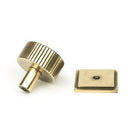 Aged Brass Judd Cabinet Knob - 32mm (Square) | From The Anvil-Cabinet Knobs-Yester Home