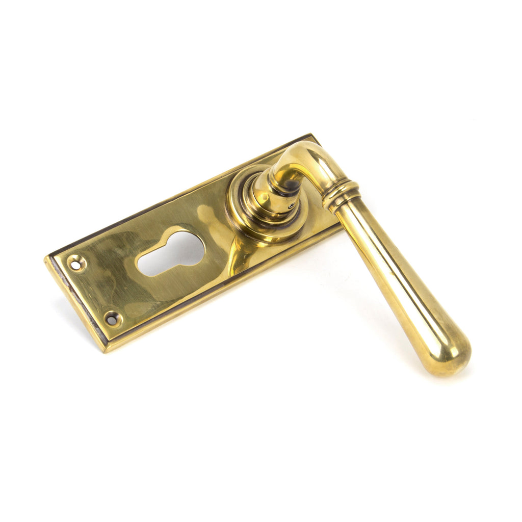 Aged Brass Newbury Lever Euro Lock Set | From The Anvil-Lever Euro-Yester Home