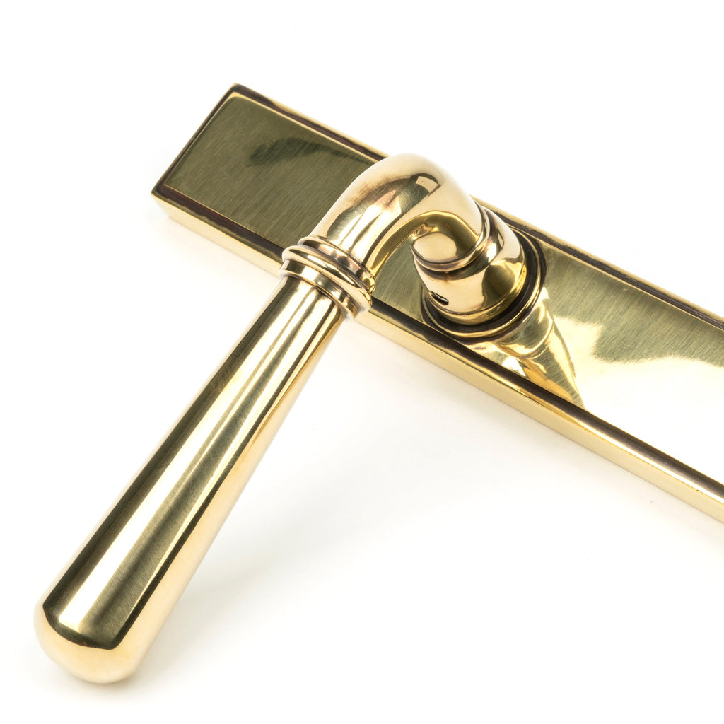 Aged Brass Newbury Slimline Lever Latch Set | From The Anvil-Espagnolette-Yester Home