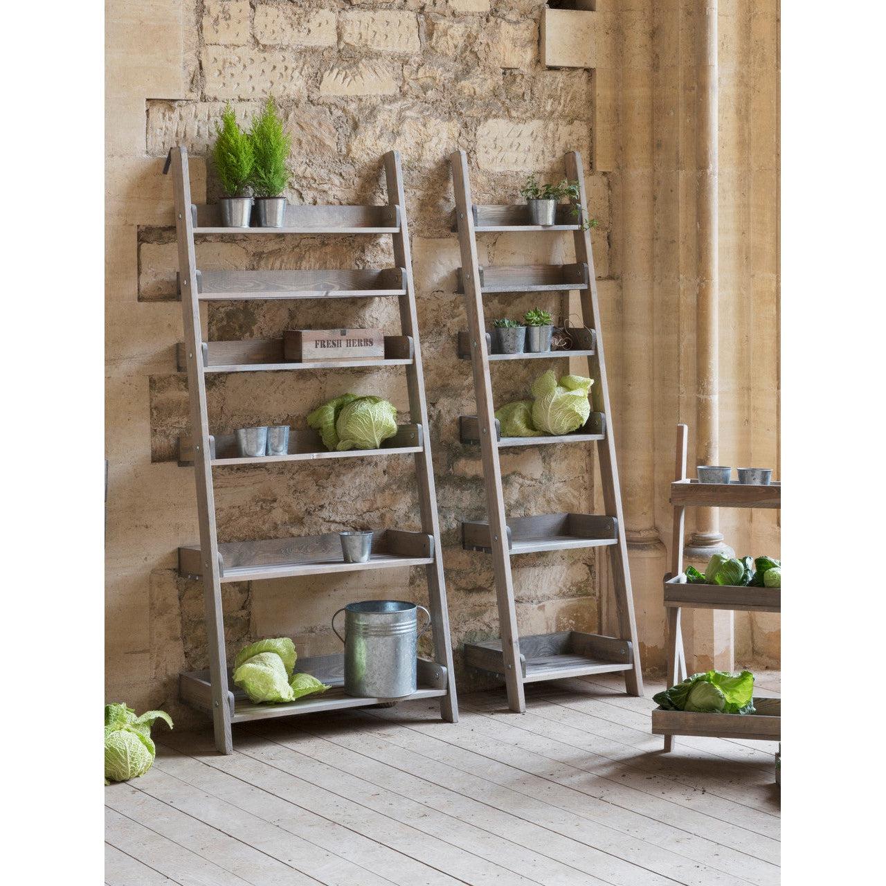 Aldsworth Shelf Ladder - Spruce (Small)-Outdoor Storage-Yester Home