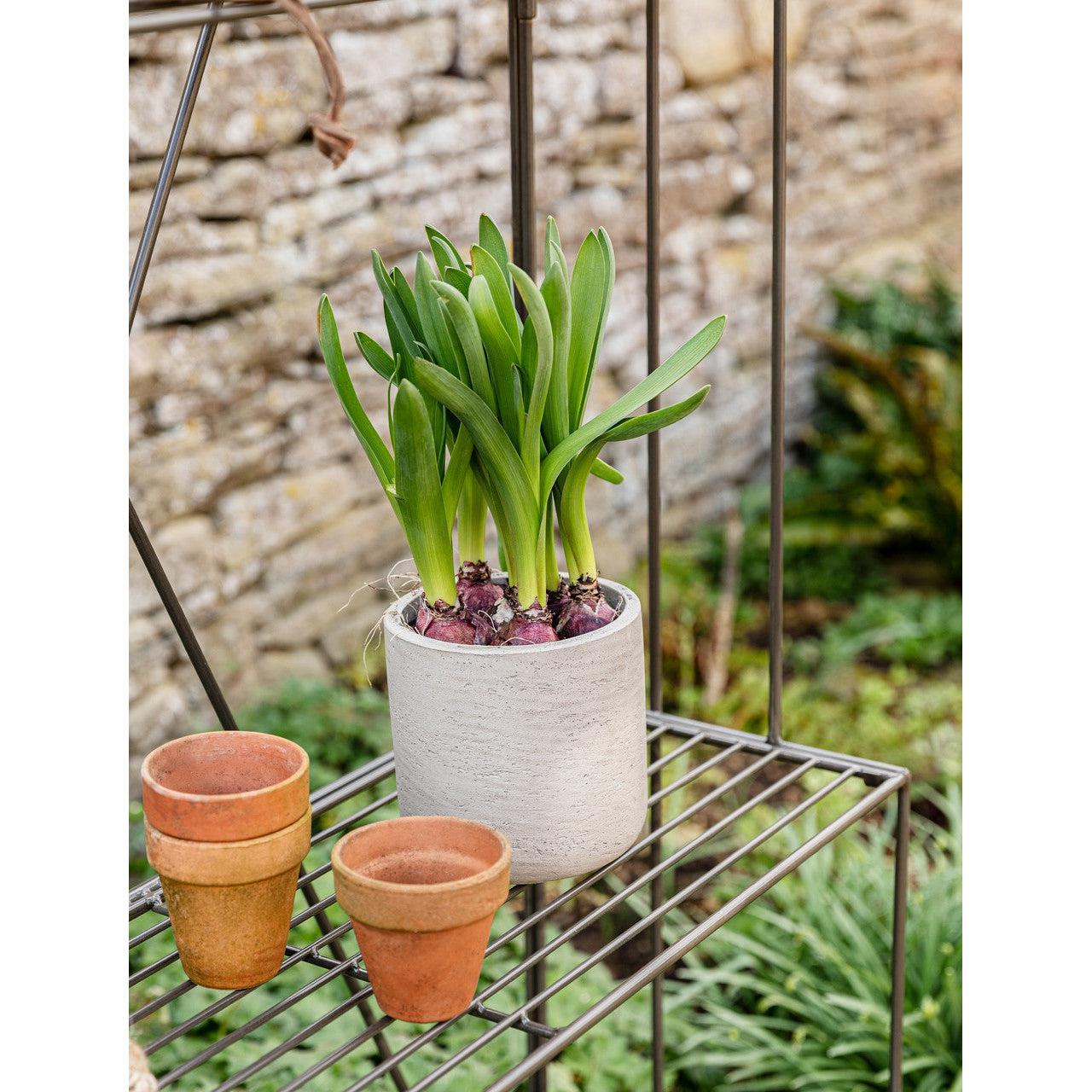 Ashbury Plant Stand, Large - Steel-Plant Stands-Yester Home