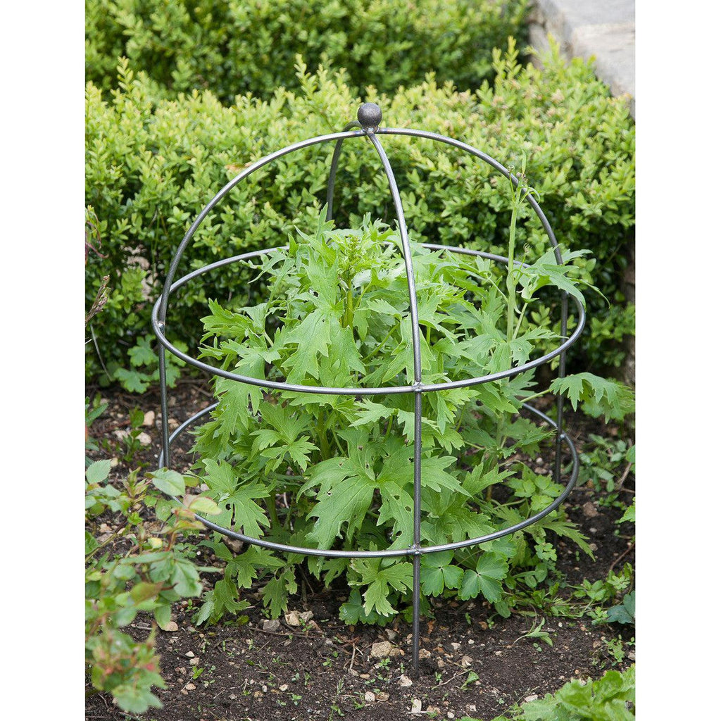 Barrington Domed Plant Support | Small - Plant Supports & Obelisks - Garden Trading - Yester Home