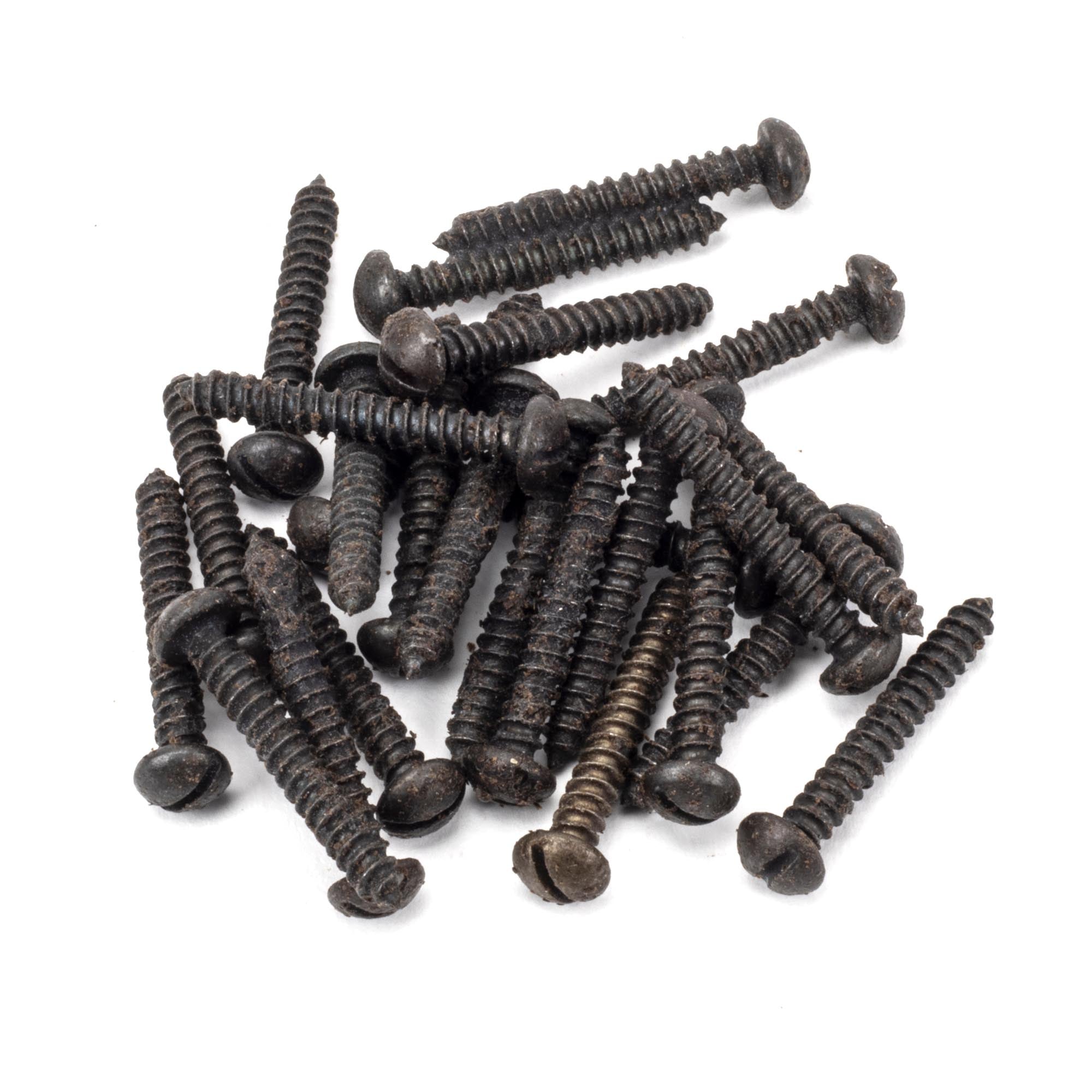 Beeswax 6x1" Round Head Screws (25) | From The Anvil - Screws & Bolts - From The Anvil - Yester Home