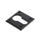 Black Avon Euro Escutcheon | From The Anvil - Euro Escutcheons - From The Anvil - Yester Home