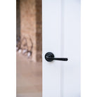 Black Avon Round Lever on Rose Set (Beehive) | From The Anvil-Concealed-Yester Home