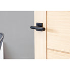 Black Brompton Lever on Rose Set (Square) - Unsprung | From The Anvil-Concealed-Yester Home
