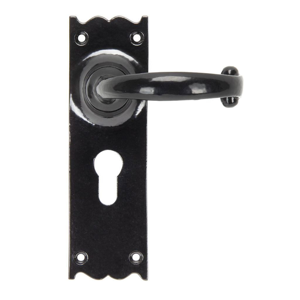 Black Cottage Lever Euro Lock Set | From The Anvil