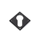 Black Diamond Euro Escutcheon | From The Anvil-Euro Escutcheons-Yester Home
