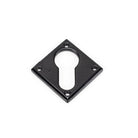 Black Diamond Euro Escutcheon | From The Anvil - Euro Escutcheons - From The Anvil - Yester Home
