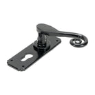 Black Monkeytail Lever Euro Lock Set | From The Anvil-Lever Euro-Yester Home