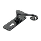 Black Monkeytail Lever Euro Lock Set | From The Anvil - Lever Euro - From The Anvil - Yester Home
