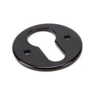 Black Regency Euro Escutcheon | From The Anvil - Euro Escutcheons - From The Anvil - Yester Home
