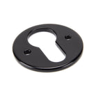 Black Regency Euro Escutcheon | From The Anvil-Euro Escutcheons-Yester Home
