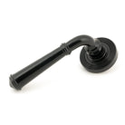 Black Regency Lever on Rose Set (Beehive) | From The Anvil-Concealed-Yester Home
